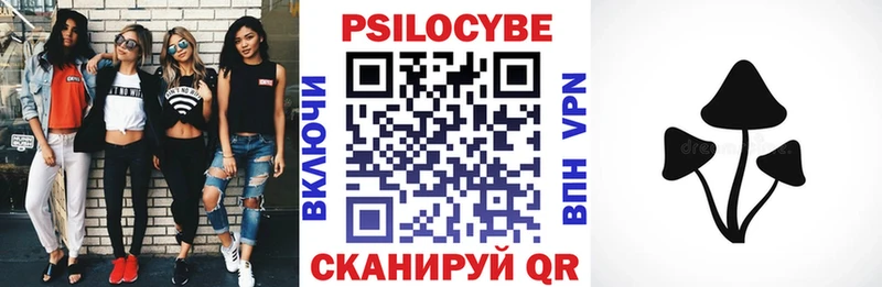 Псилоцибиновые грибы Psilocybe  Купить где  Набережные Челны 